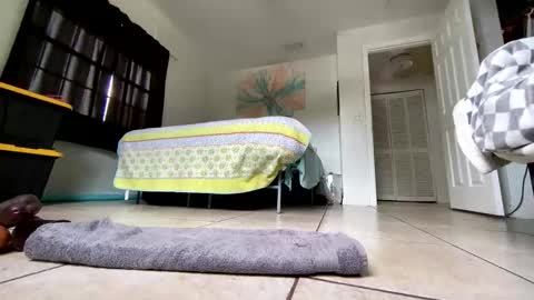 Getngetout88 online show from 19, 3, 2026