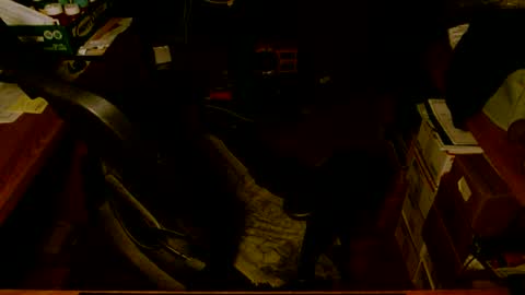 Snapshot of gfhdhr2 chatting on 4, 3, 2025 gfhdhr2 online show from 4, 3, 2025