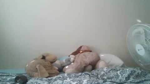 ghansberger2 online show from 11, 3, 2026