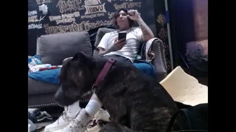 ghxstface23 online show from 11, 9, 2025