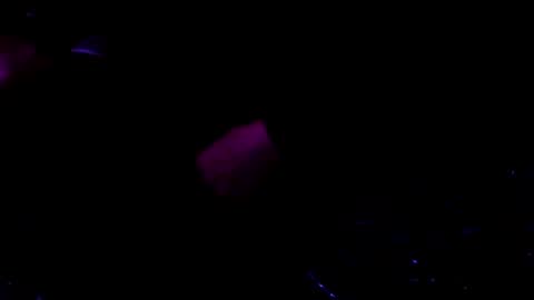 giftedbiker online show from 9, 1, 2025