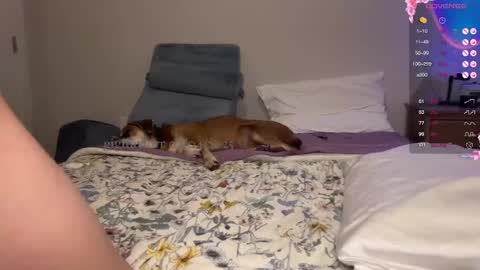 Snapshot of gigitaylorr chatting on 5, 2, 2025 gigi online show from 5, 2, 2025