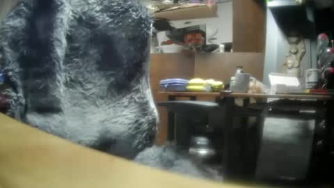 giovanne1 online show from 8, 12, 2024