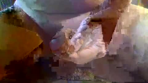 Snapshot of girafsnoop chatting on 19, 1, 2025 girafsnoop online show from 19, 1, 2025