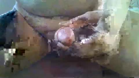 Snapshot of girafsnoop chatting on 22, 11, 2025 girafsnoop online show from 22, 11, 2025