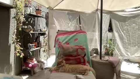 Snapshot of gl1tter_barbie chatting on 22, 11, 2025 Gl1tter Barbie online show from 22, 11, 2025