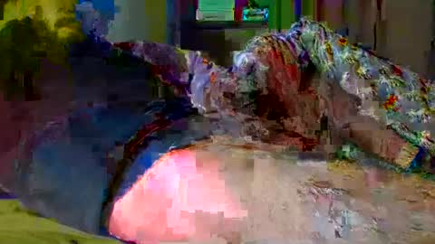 guybuzz online show from 18, 12, 2024