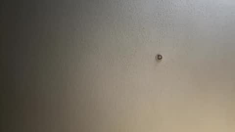 Snapshot of glo91dxck chatting on 2, 12, 2024 rubclit2000 online show from 2, 12, 2024