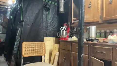 globalmovement online show from 25, 3, 2026