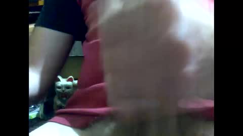 PencilDick online show from 17, 1, 2025