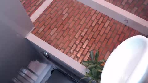 Snapshot of goddesfox chatting on 9, 11, 2025 daniela online show from 9, 11, 2025