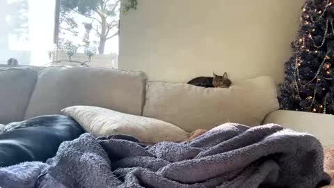 GoddessMayvn online show from 7, 1, 2025