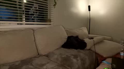 GoddessMayvn online show from 26, 1, 2025