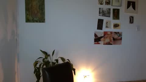 Alaska online show from 1, 2, 2026