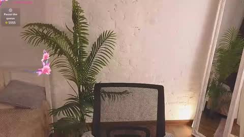 Benny  online show from 1, 3, 2025