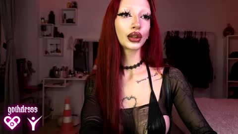    online show from 24, 11, 2025