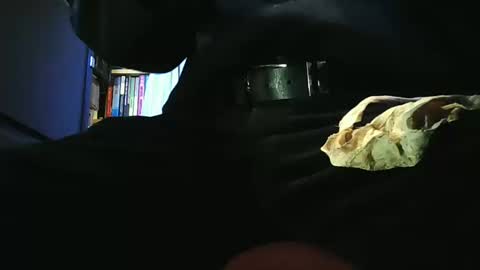 Snapshot of grapefruit chatting on 11, 3, 2026 grapefruit online show from 11, 3, 2026