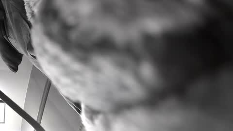 Get US to 1000 you wont be disapointed online show from 10, 12, 2024