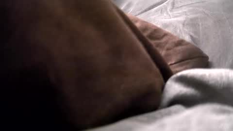 Get US to 1000 you wont be disapointed online show from 16, 12, 2024