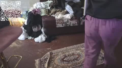 graylovescookies online show from 2, 3, 2025