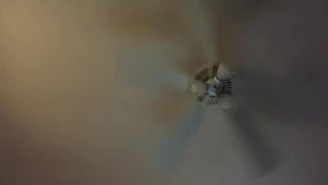 grd137 online show from 8, 3, 2025