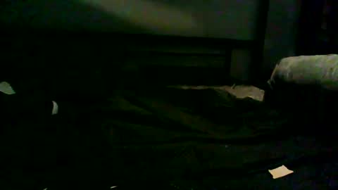 grd137 online show from 12, 9, 2025