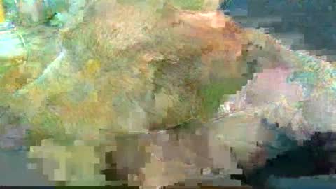 greatbiggs6969 online show from 2, 1, 2025