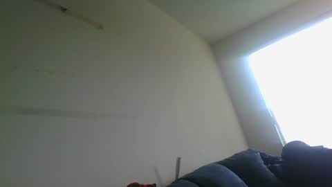 Snapshot of gringoloco253783 chatting on 31, 12, 2024 certifiedloverboy online show from 31, 12, 2024