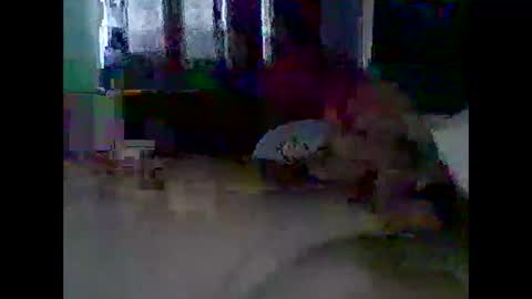 Snapshot of grittslappa chatting on 11, 11, 2025 grittslappa online show from 11, 11, 2025