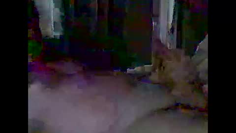 Snapshot of grittslappa chatting on 28, 4, 2026 grittslappa online show from 28, 4, 2026