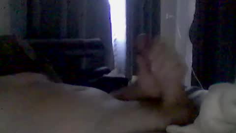 Snapshot of grittslappa chatting on 22, 6, 2026 grittslappa online show from 22, 6, 2026