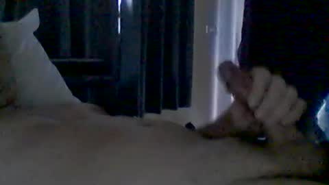 Snapshot of grittslappa chatting on 27, 6, 2026 grittslappa online show from 27, 6, 2026