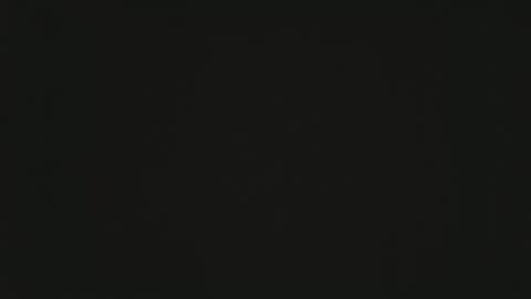 Groot online show from 5, 1, 2026