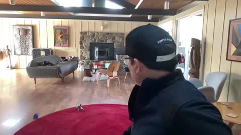 groovycouvie online show from 1, 3, 2025