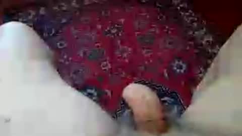 Snapshot of grosseto1234 chatting on 7, 7, 2026 grosseto1234 online show from 7, 7, 2026