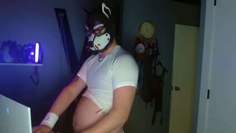 Alpha pup online show from 8, 10, 2025