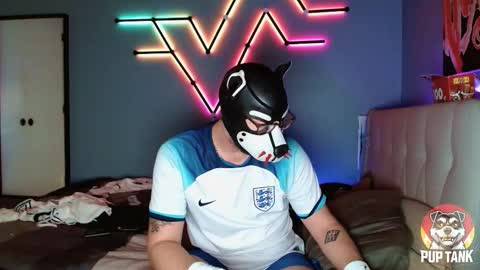 Alpha pup online show from 1, 11, 2025