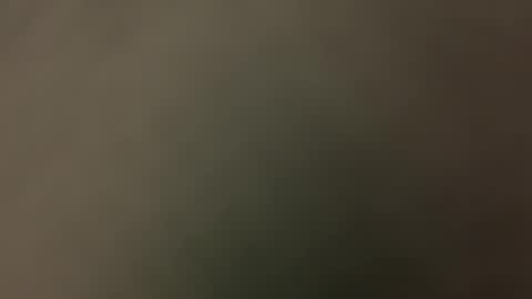 gstring699 online show from 11, 4, 2026