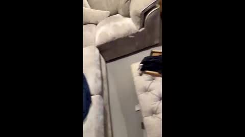 Snapshot of gt79802068 chatting on 11, 11, 2025 gt79802068 online show from 11, 11, 2025