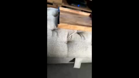 Snapshot of gt79802068 chatting on 22, 11, 2025 gt79802068 online show from 22, 11, 2025