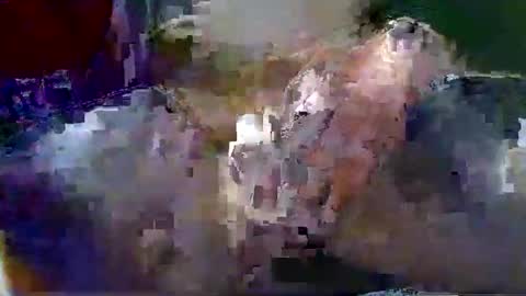 Gary online show from 18, 1, 2026