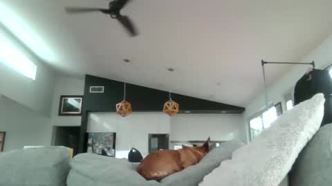 gumbyliscious online show from 18, 1, 2026