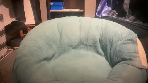 gumbywanna online show from 6, 1, 2026