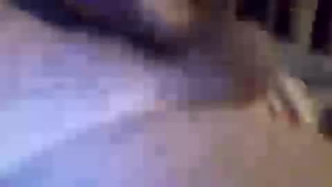 Snapshot of h_rd333 chatting on 11, 3, 2025 h_rd333 online show from 11, 3, 2025