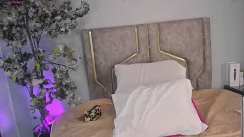 haileystonei online show from 16, 12, 2025