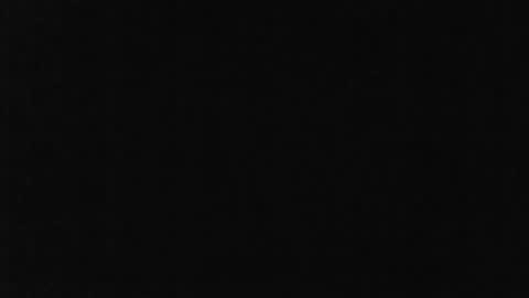 Bruce online show from 4, 5, 2026