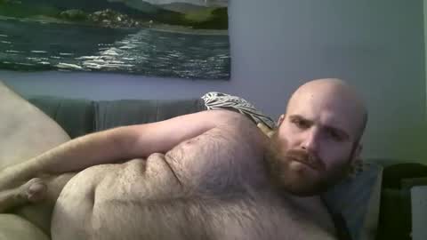 Hairiest Bear online show from 23, 12, 2024