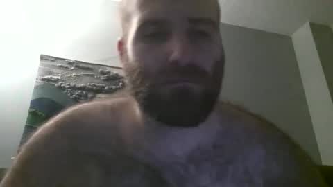 Hairiest Bear online show from 19, 1, 2025