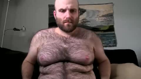 Hairiest Bear online show from 17, 2, 2025