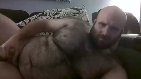 Hairiest Bear online show from 6, 10, 2025